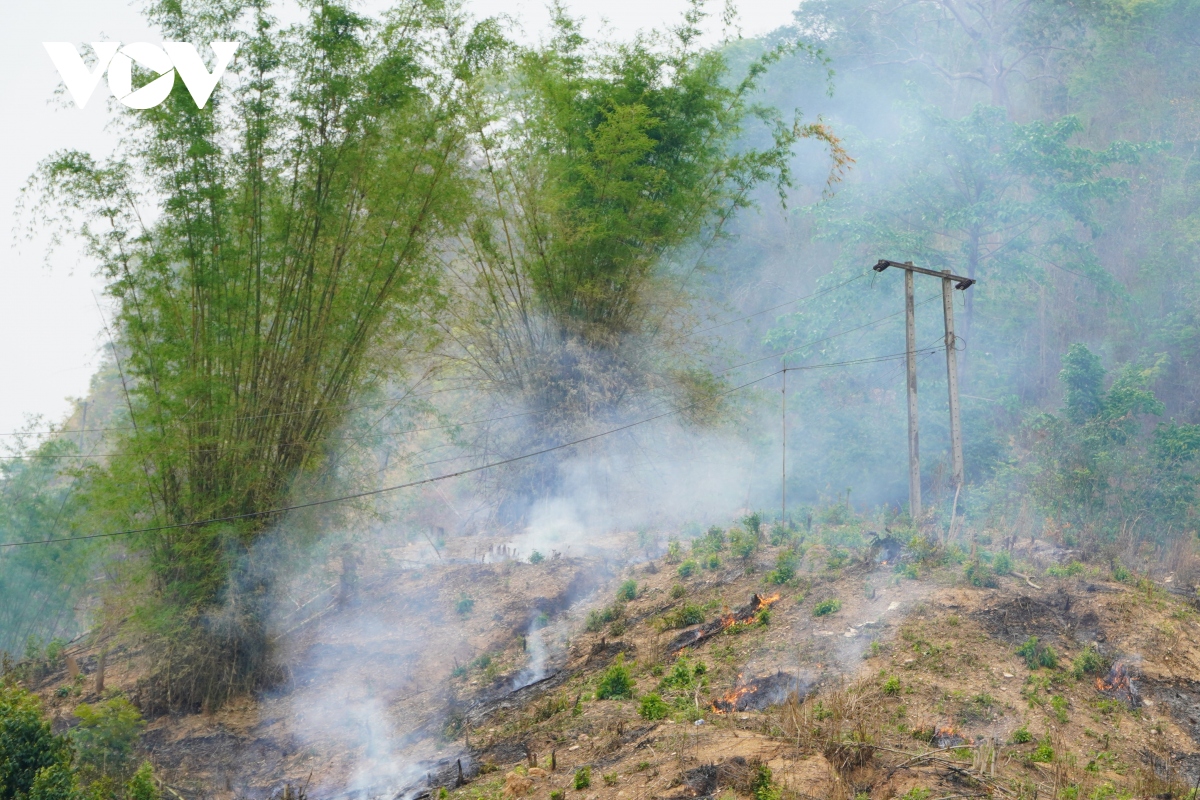 Lào triển khai dự án giảm phát thải khí nhà kính, phát triển tín chỉ carbon rừng